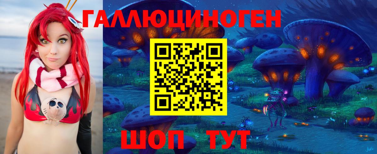 Псилоцибиновые грибы мицелий Тейково